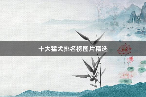 十大猛犬排名榜图片精选