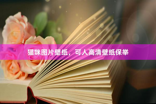猫咪图片壁纸,可人高清壁纸保举